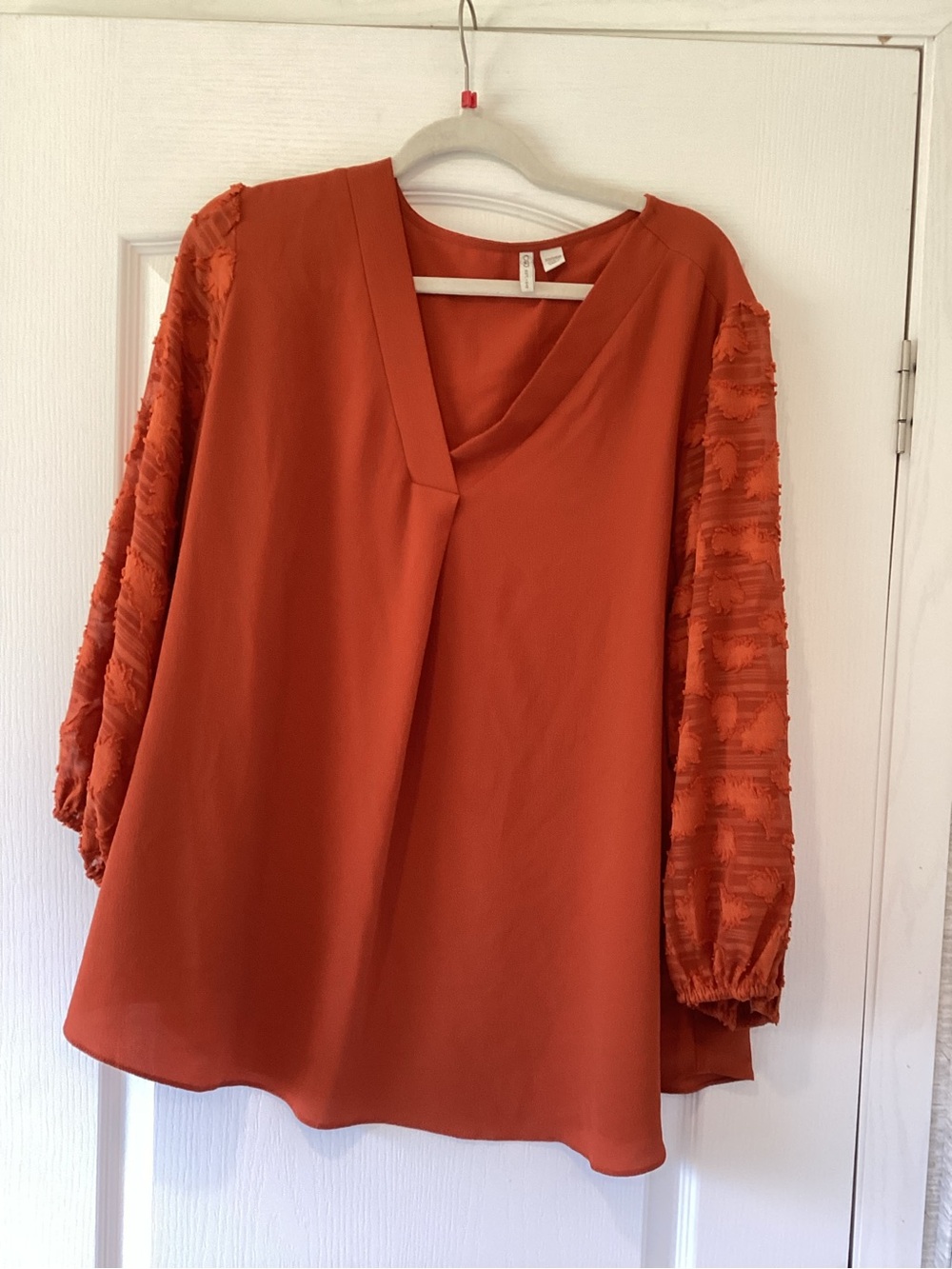 Cato Burnt Orange V-Neck Blouse with Textured Bishop Sleeves XL EUC